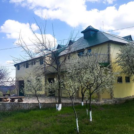 Fata Verde Soldanesti Exterior photo