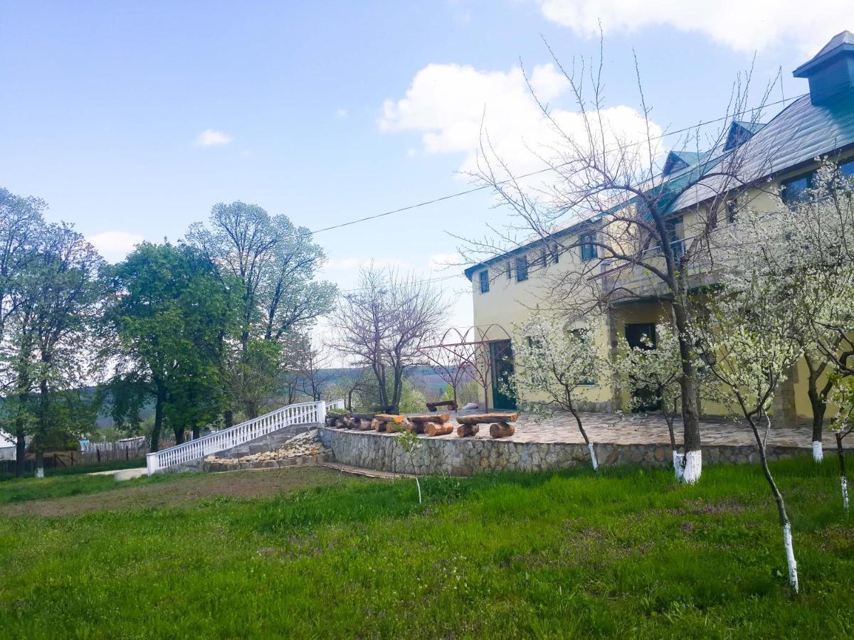 Fata Verde Soldanesti Exterior photo
