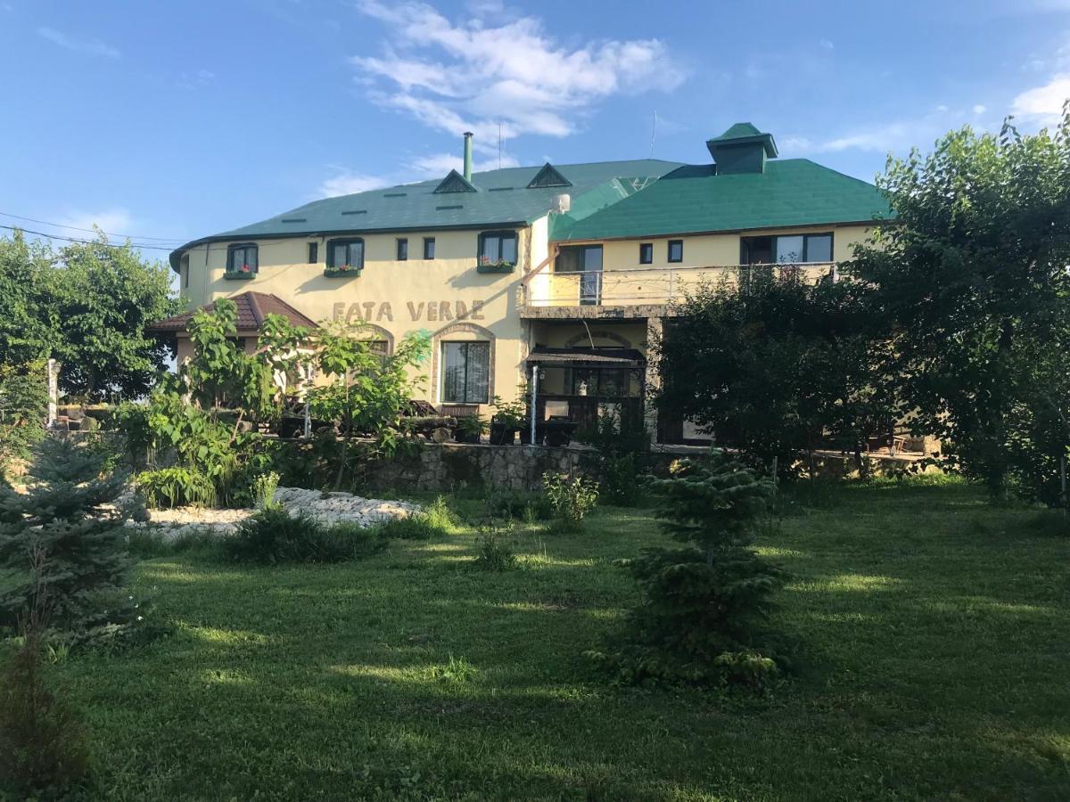 Fata Verde Soldanesti Exterior photo